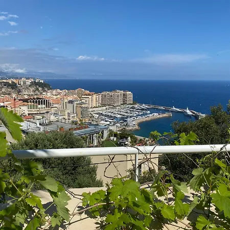 3 130 M2 Vue Avec Piscine Monaco *